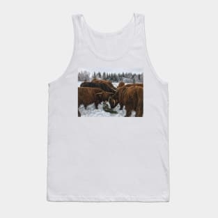 Scottish Highland Cattle Bulls 1916 Tank Top